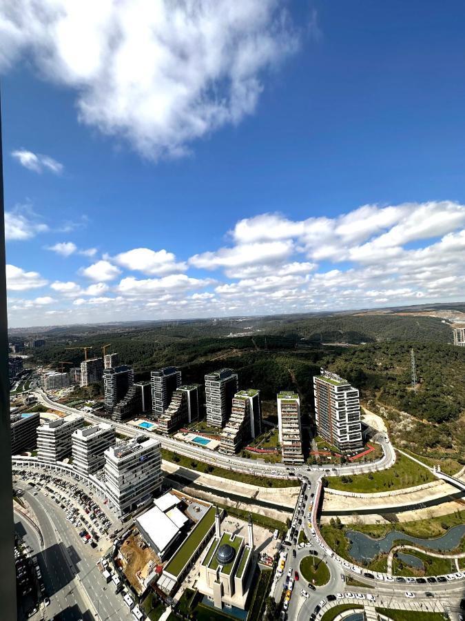 Skyland + 42