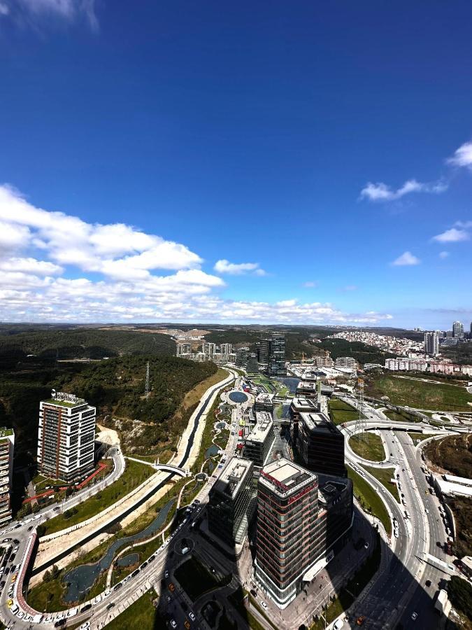 Skyland + 42